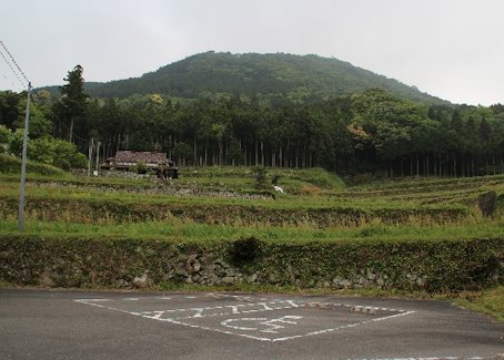 NR