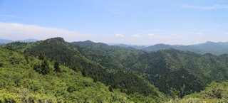万年山