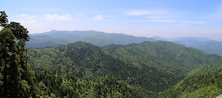 万年山