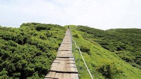 万年山
