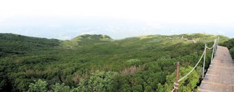 万年山