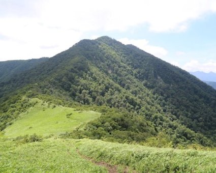 NR