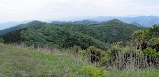 万年山