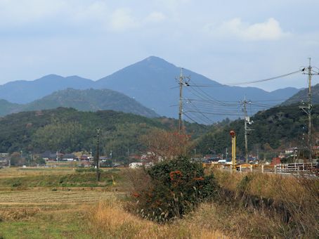 NR