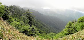 万年山