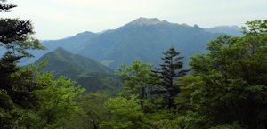 万年山
