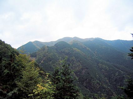 NR