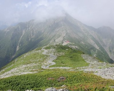 NR
