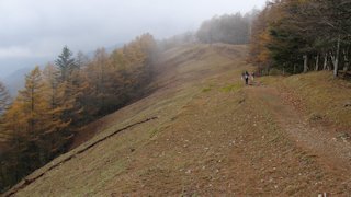 万年山