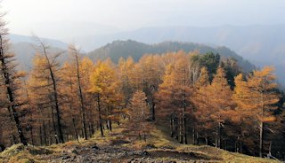 万年山