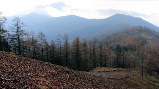 万年山