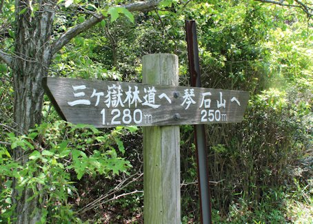 NR