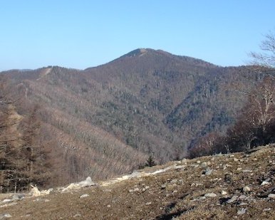 NR