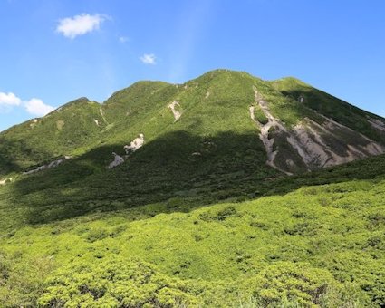 NR
