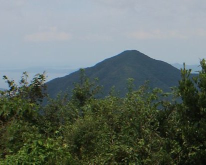 NR