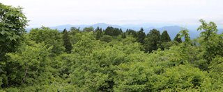 万年山