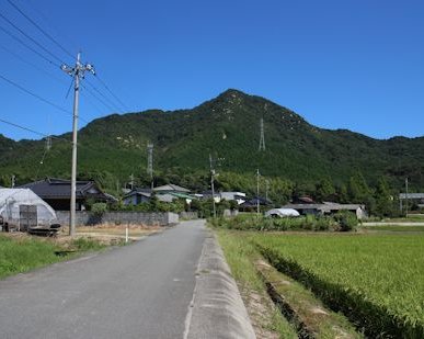 NR