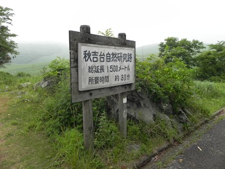 OR