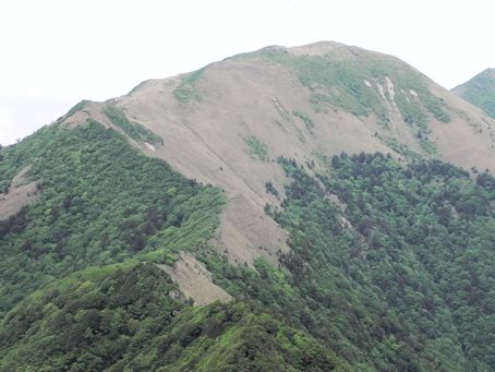 NR