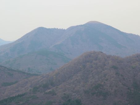 NR