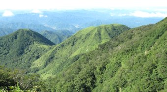 万年山