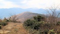 万年山