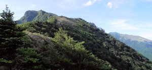 万年山