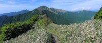 万年山