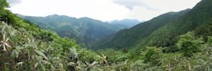 万年山
