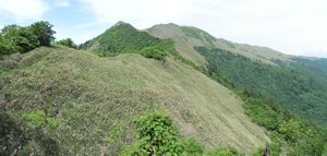 万年山