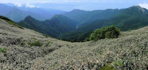 万年山