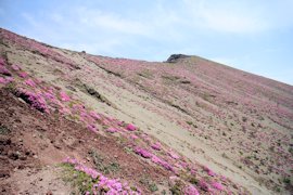 万年山