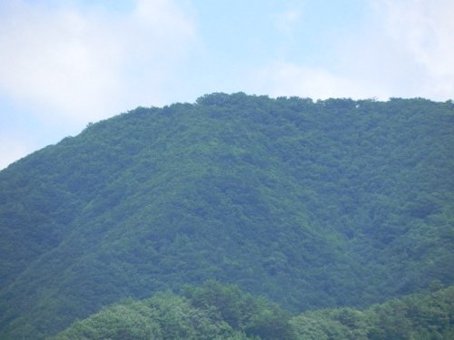 NR