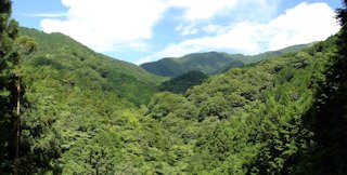 万年山