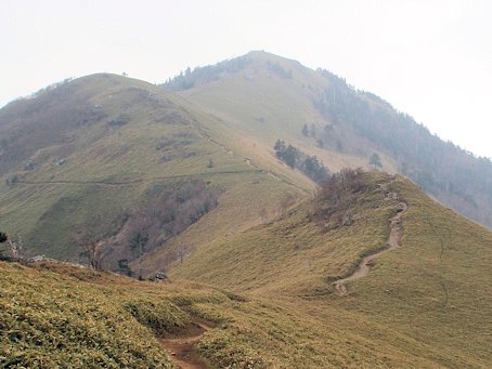 NR