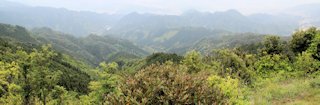 万年山