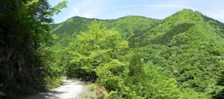 万年山