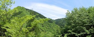 万年山