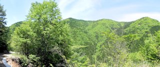 万年山