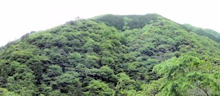 万年山