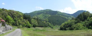 万年山