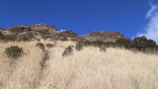 万年山