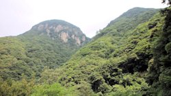 万年山